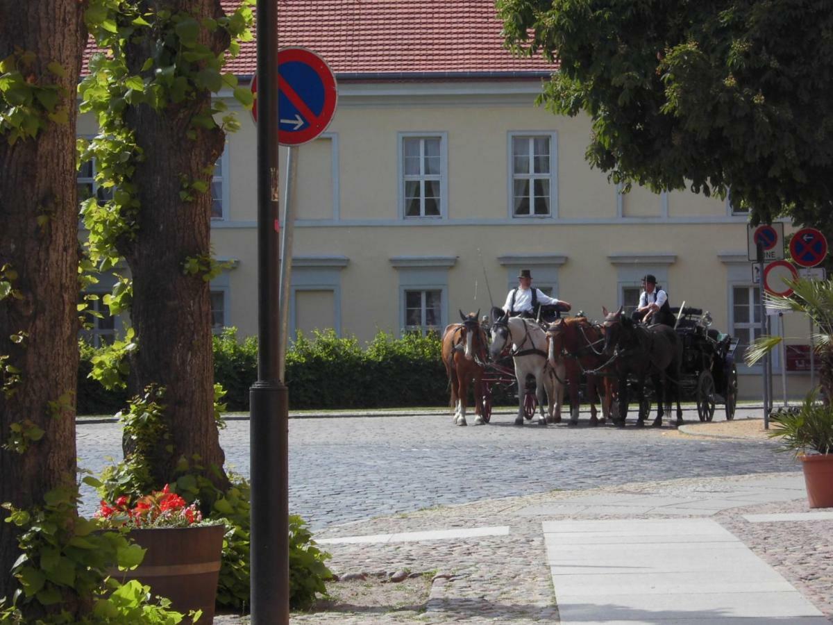 Appartement Schlossparkferienwohnungen Mit Garten Rheinsberg